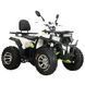 Квадроцикл SP200-3 MF-0043-2 фото